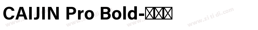 CAIJIN Pro Bold字体转换